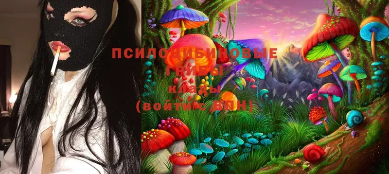 Псилоцибиновые грибы Psilocybe  где купить наркотик  Ворсма 